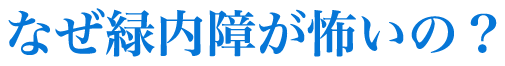 なぜ緑内障が怖いの？